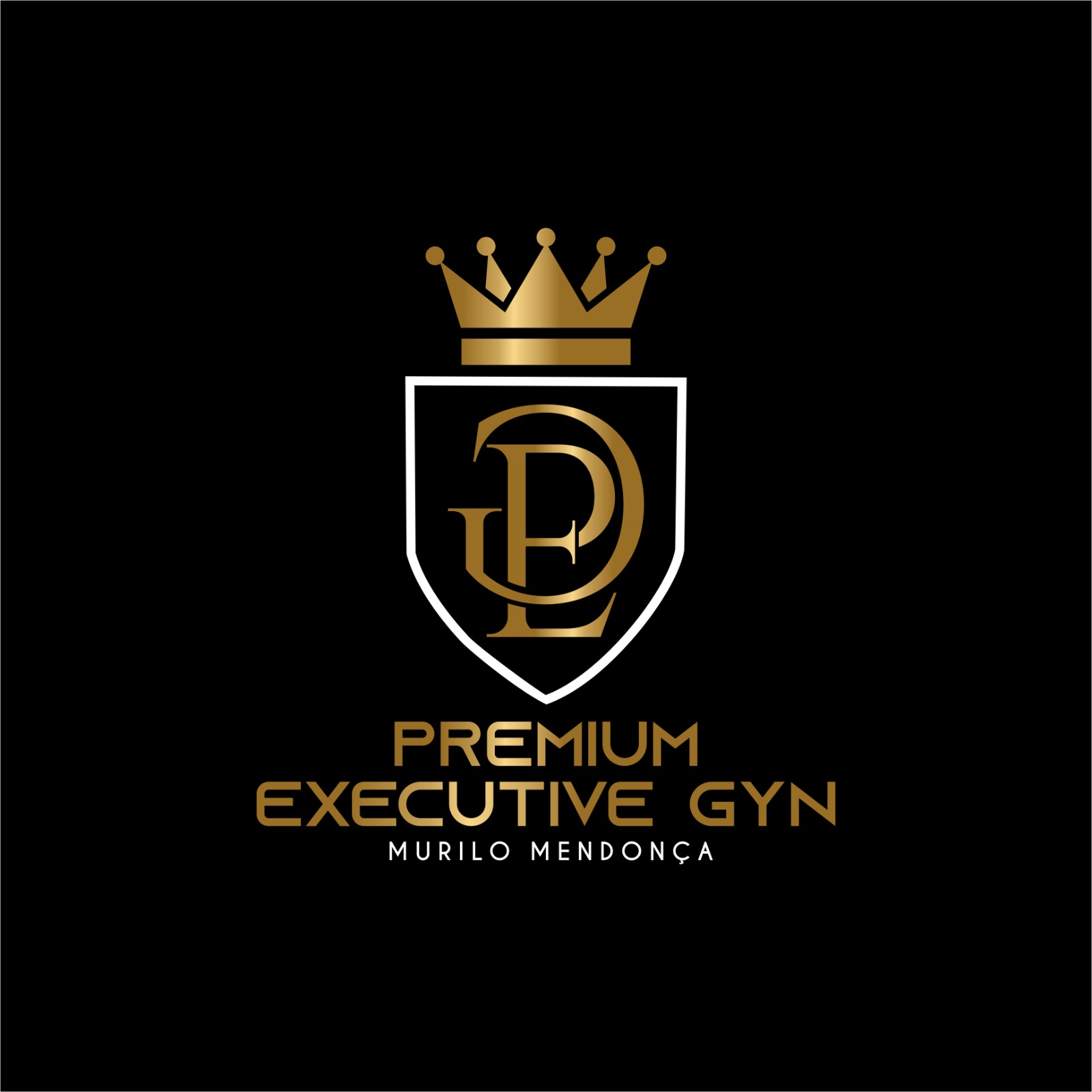 Logo Premium Executive Gyn